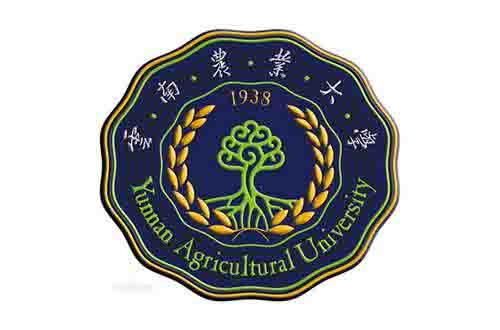 云南农业大学英语专四证书样本图片（2010-2018年版本）